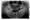 pan_01